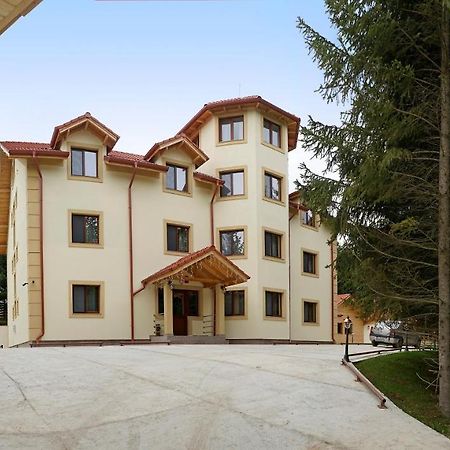 Pensiunea Floarea De Colt Nucsoara  Экстерьер фото