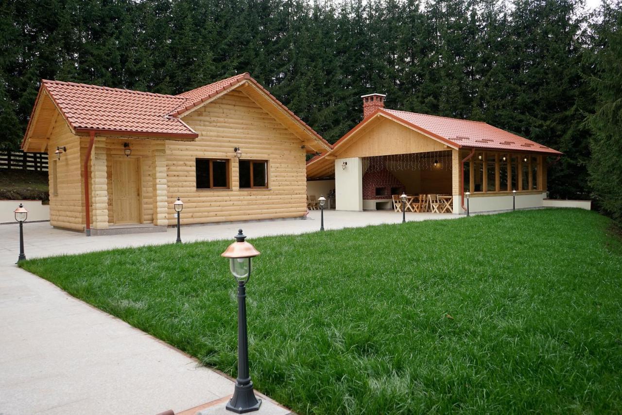 Pensiunea Floarea De Colt Nucsoara  Экстерьер фото